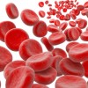 Хемоглобин F се използва за диагностика на thalassemia minor,Hemoglobin f thalassemia, миелодиспластичен синдром