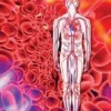 Изследване на Холестерол LDL, Холестерол LDL се използва за преценка на риска от ИБС,Вродени хиперлипидемии