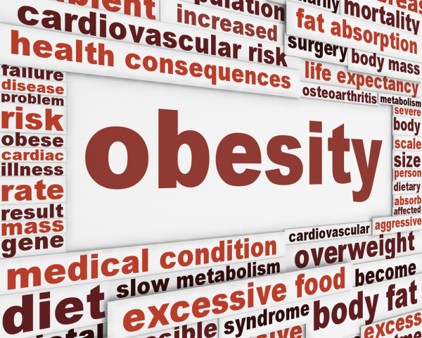 Establishing_the_links_between_obesity_and_chronic_health_problems-resized-600.jpg