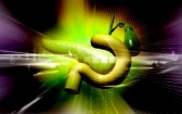 Ca 19-9 е туморен маркер,който се изследва при рак на панкреаса,хроничен панкреатит