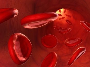 Хемоглобин F се използва за диагностика на thalassemia minor,Hemoglobin f thalassemia, миелодиспластичен синдром