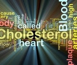 Изследване на Холестерол HDL,Холестерол HDL се изолзва за оценка и проследяване на риска от ИБС,Дислипидемия