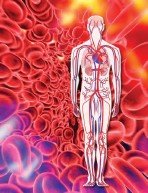 Изследване на Холестерол LDL, Холестерол LDL се използва за преценка на риска от ИБС,Вродени хиперлипидемии